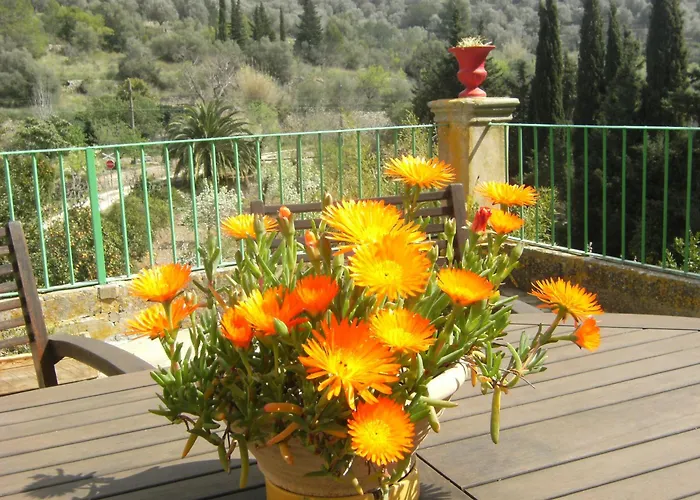 Agroturisme Finca Sa Maniga